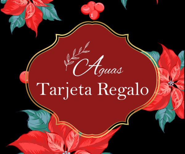 Aguasarte tarjeta 2024