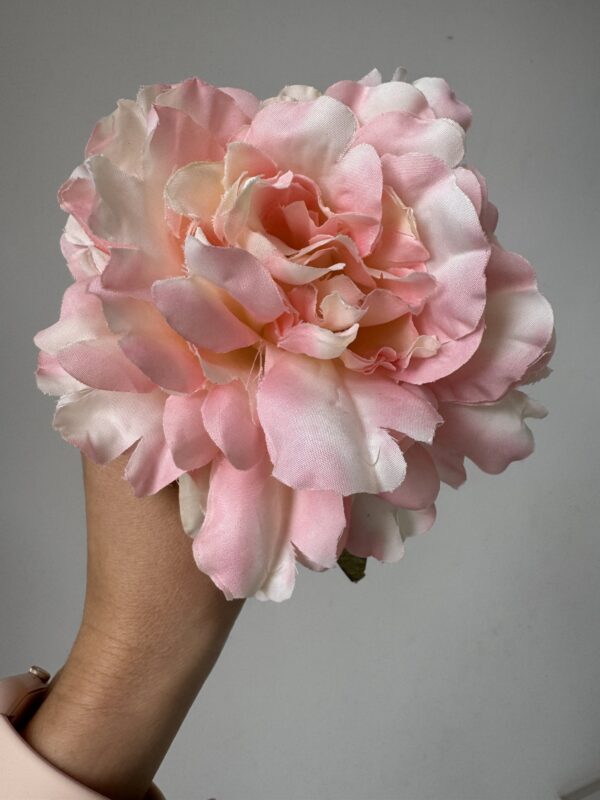 Peonía natural degradé rosa