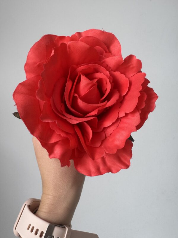 Peonia coral