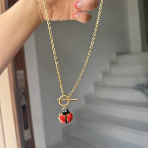 Collar modelo mariquita