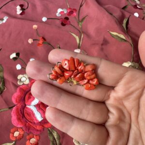 Broche de corales