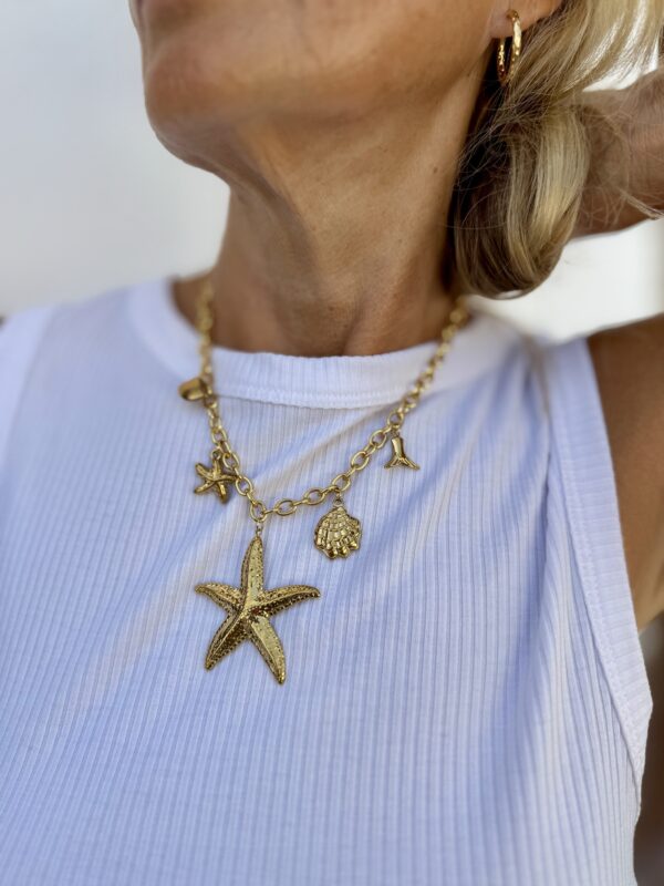 Collar modelo shell