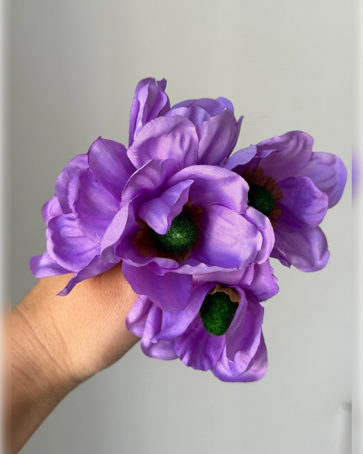 Amapolas malvas
