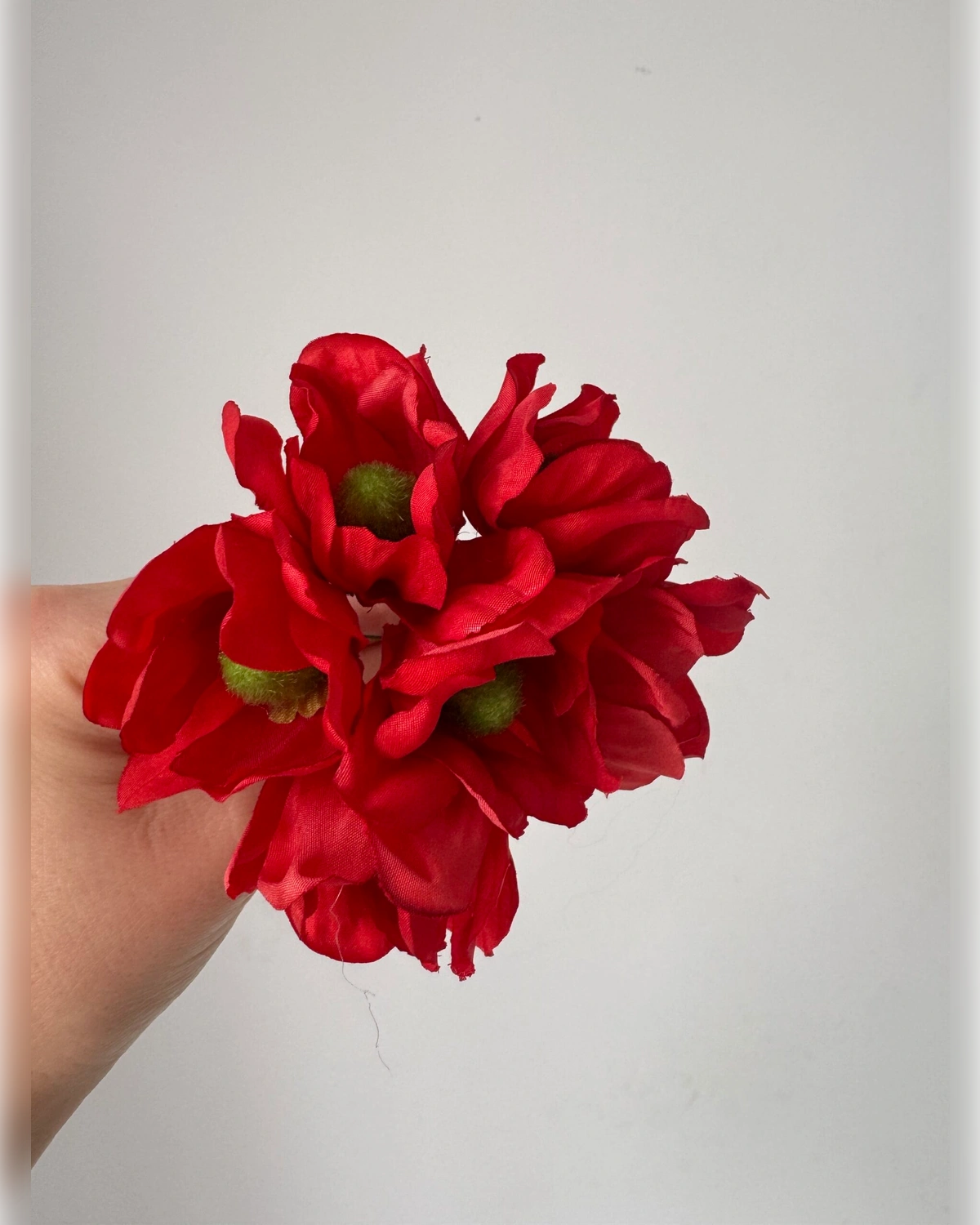 Amapolas rojas