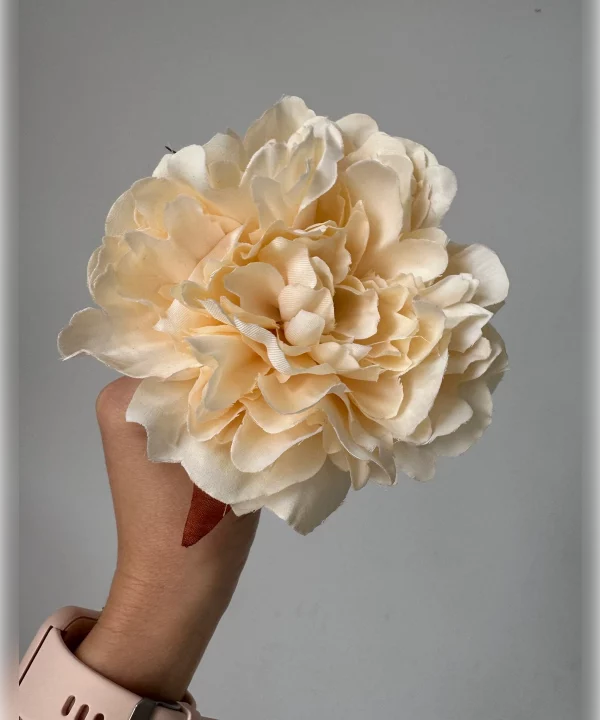 Peonia marfil